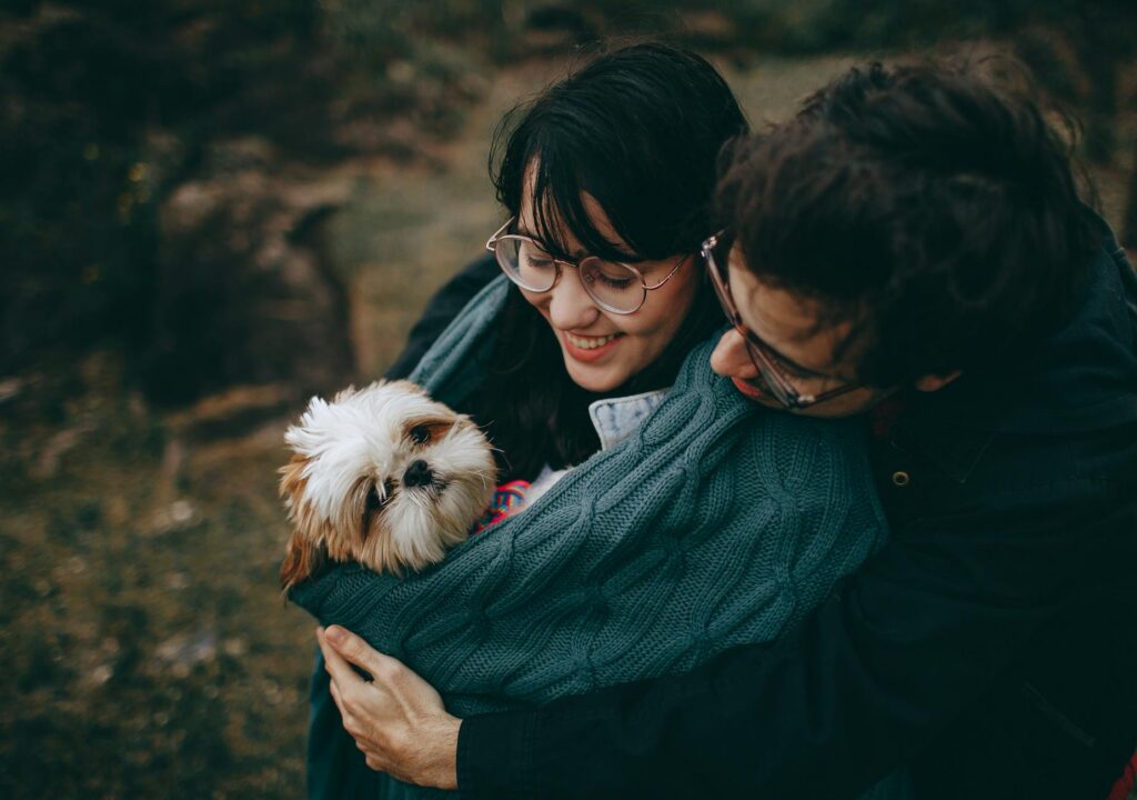 couple hugging adult tan and white shih tzu on focus photography