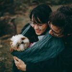 couple hugging adult tan and white shih tzu on focus photography